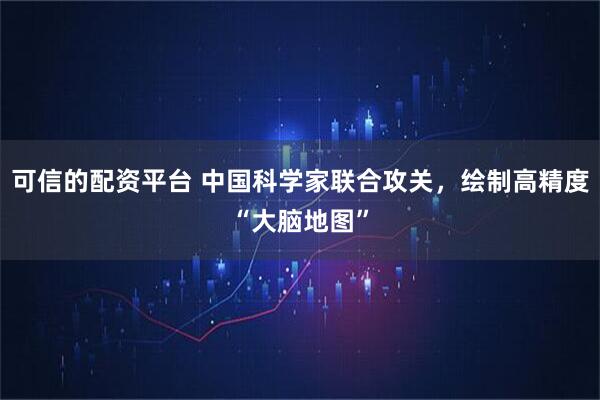 可信的配资平台 中国科学家联合攻关，绘制高精度“大脑地图”