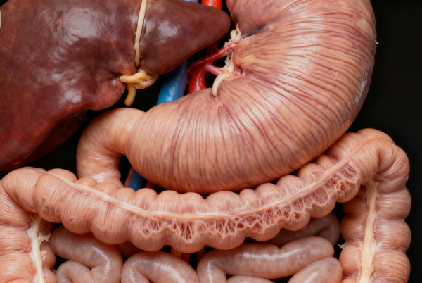 股票配资市场 注意！上厕所时若出现这4个异常表现，或是脾虚发出的信号